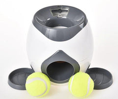 Automatic Pet Training And Feeding System