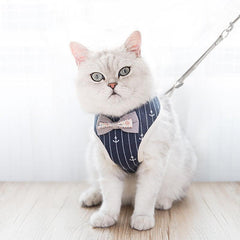 Breathable Mesh Pet Leash For Dogs And Cats